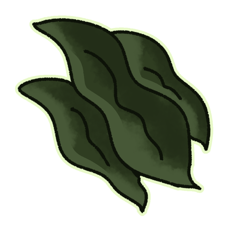 Seaweed